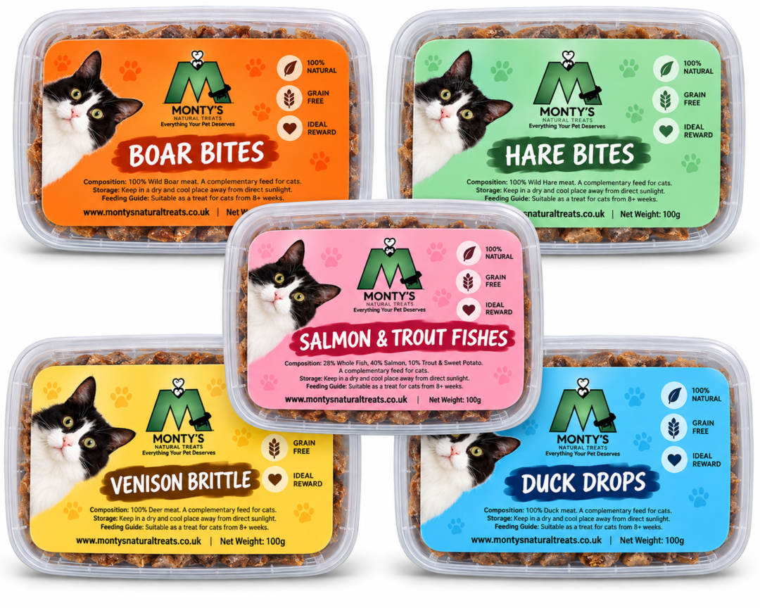 Cat Treats